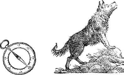 Доктор Айболит (с иллюстрациями) - g41.png