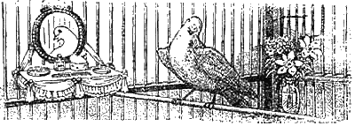 Доктор Айболит (с иллюстрациями) - g63.png