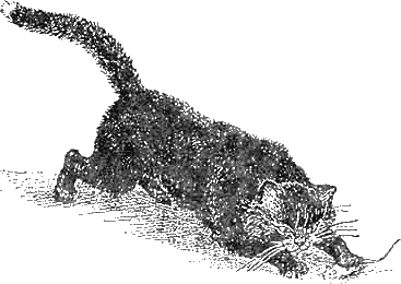 Доктор Айболит (с иллюстрациями) - g79.png