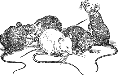 Доктор Айболит (с иллюстрациями) - g80.png