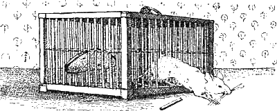 Доктор Айболит (с иллюстрациями) - g81.png