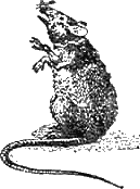 Доктор Айболит (с иллюстрациями) - g82.png