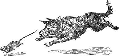 Доктор Айболит (с иллюстрациями) - g86.png