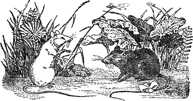 Доктор Айболит (с иллюстрациями) - g89.png