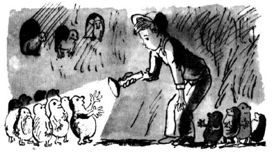 Долой огуречного короля - i_024.jpg