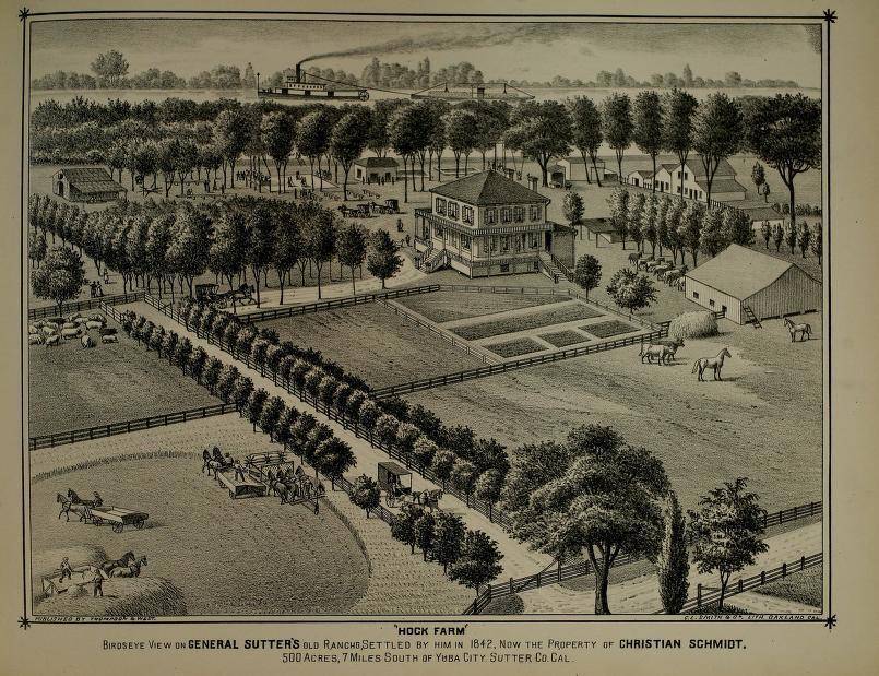 Буря (СИ) - img_3