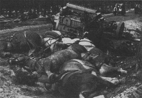 Битвы Второй Мировой (СИ) - img_130