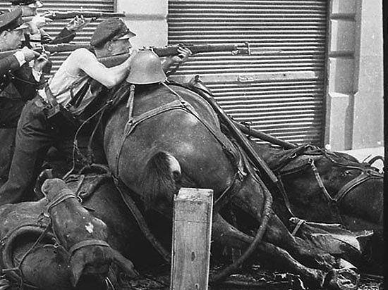 Битвы Второй Мировой (СИ) - img_21