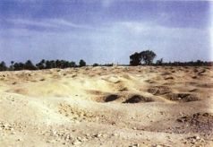 Колыбели Цивилизаций - AUTO_fb_img_loader_149