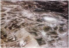 Колыбели Цивилизаций - AUTO_fb_img_loader_158