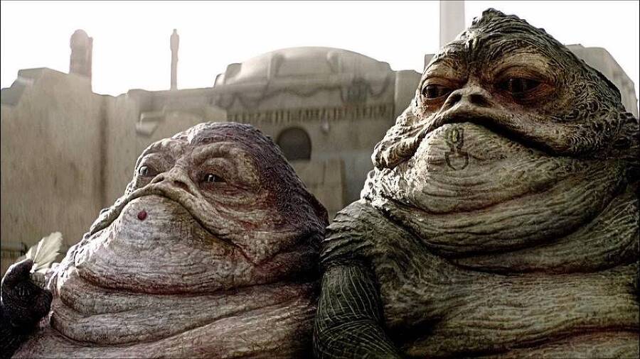 Небесный странник (СИ) - img_21