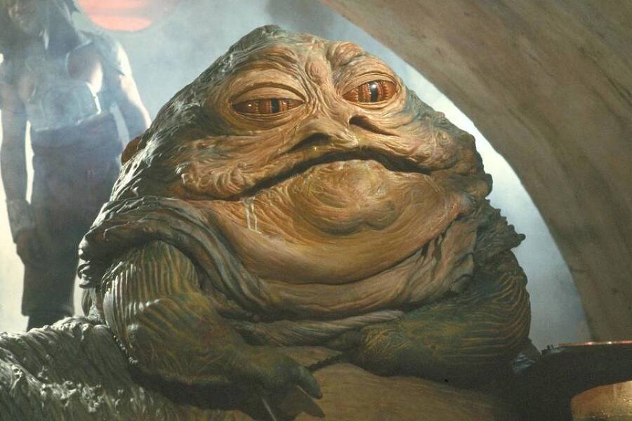 Небесный странник (СИ) - img_20