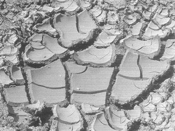 Профессиональные приемы вождения кроссового мотоцикла и эндуро - i_002.jpg