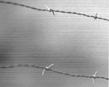 Профессиональные приемы вождения кроссового мотоцикла и эндуро - i_003.jpg