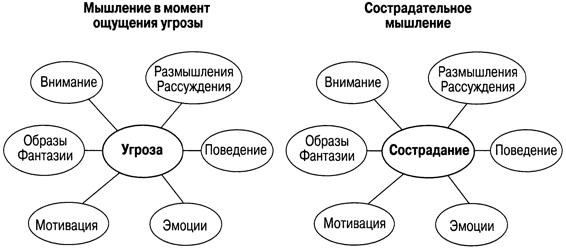 Терапия, сфокусированная на сострадании, для управления гневом - img_6