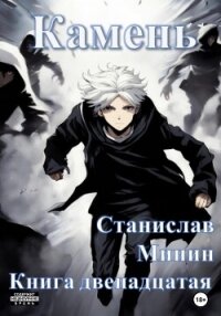 Камень. Книга двенадцатая - Минин Станислав