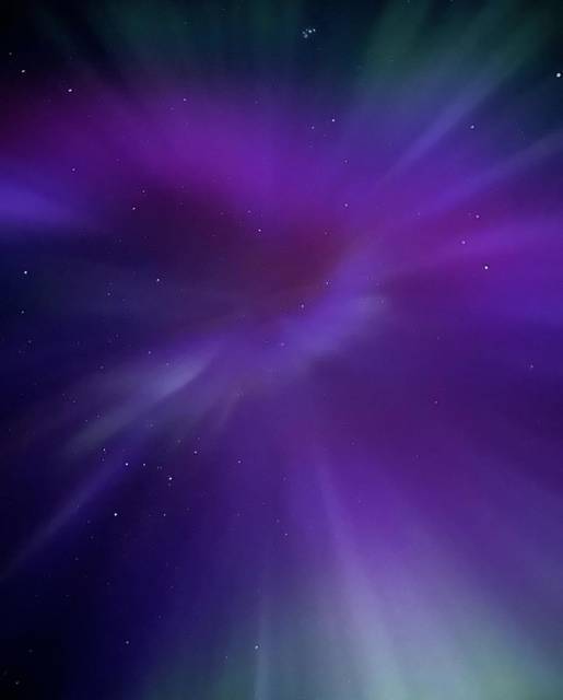 2424 (СИ) - img_23