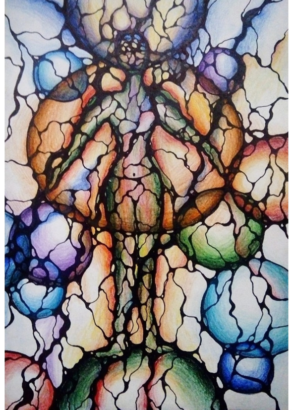 Нейрографика: личная исповедь Вероники Крацбаршт - img_14