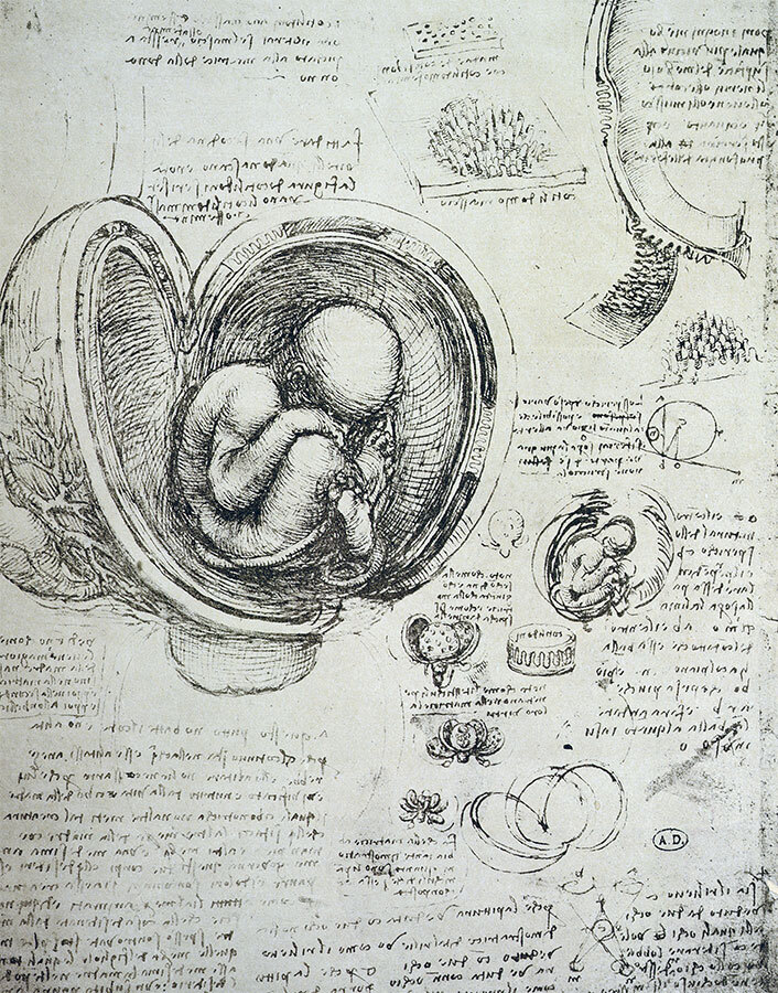 Язык цвета. Все о его символике, психологии и истории - img_5