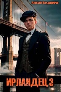 Ирландец 3 (СИ) - Владимиров Алексей Владимирович