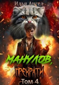 Манулов, прекрати! Том 4 - Ангел Илья