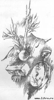 Острів Смерті - pic_2.jpg