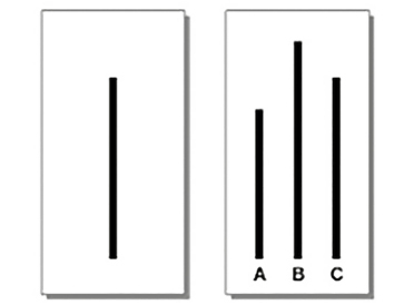 Заблуждения толпы - img_9