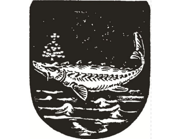 Тени Янтарной комнаты - img_2