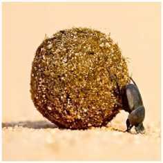 Искусство алхимии. От философского камня и эликсира бессмертия до пятого элемента и магии книгоиздания - img_9