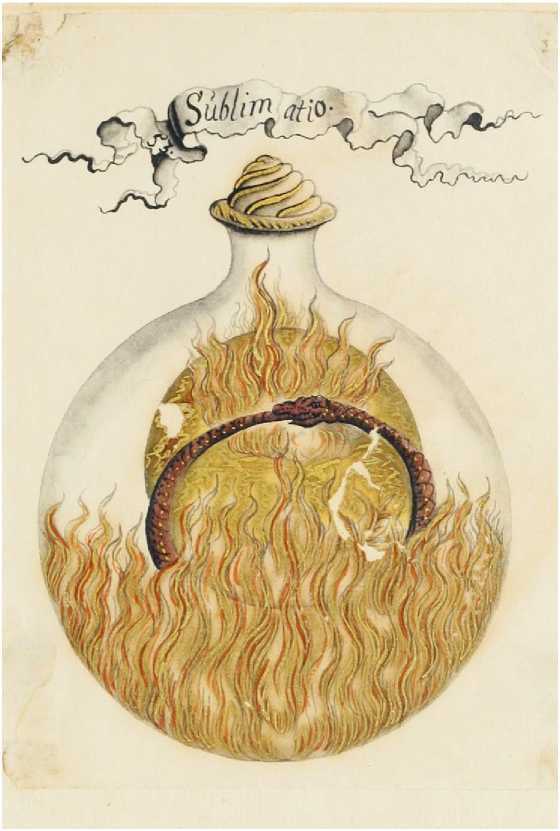 Искусство алхимии. От философского камня и эликсира бессмертия до пятого элемента и магии книгоиздания - img_20