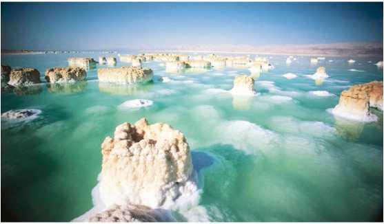 Искусство алхимии. От философского камня и эликсира бессмертия до пятого элемента и магии книгоиздания - img_7