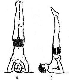 С ружьем на глубину. Спортивная подводная стрельба - m14.jpg
