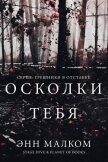 Читать книгу Осколки тебя (ЛП), автор Малком Энн Осколки тебя (ЛП) - Малком Энн