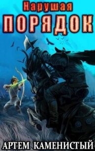 Нарушая ПОРЯДОК (СИ) - Каменистый Артем