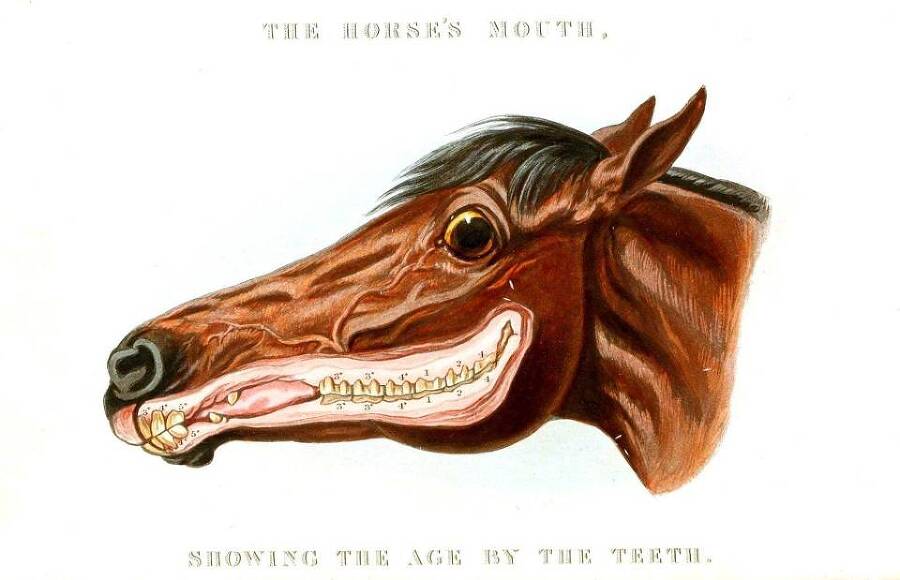 Демиург. Том 1 (СИ) - img_1