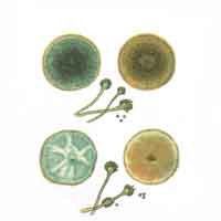 Квест – LEVEL 6 - i_012.jpg