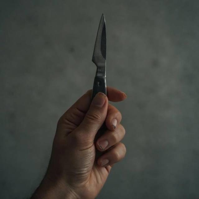 Феникс (СИ) - img_3