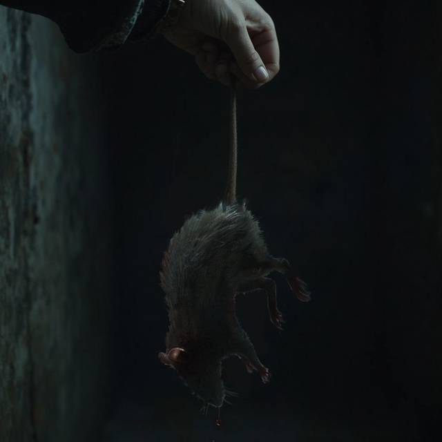 Феникс (СИ) - img_5