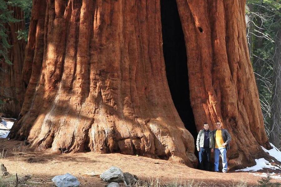 День (СИ) - img_14