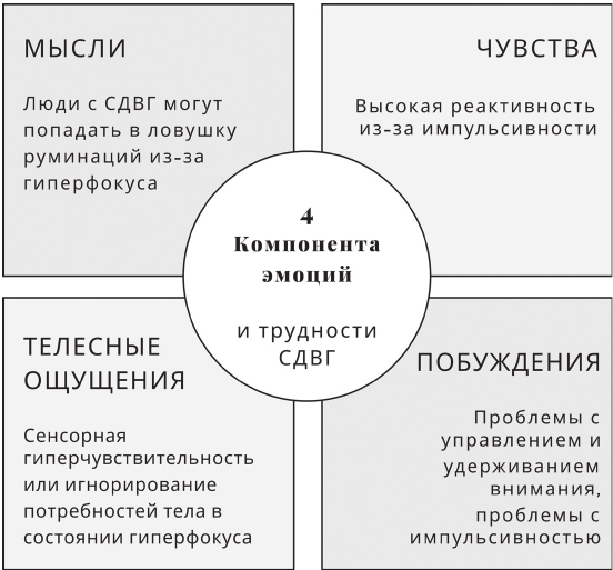 Жизнь с СДВГ. От прокрастинации к самоорганизации - img_11