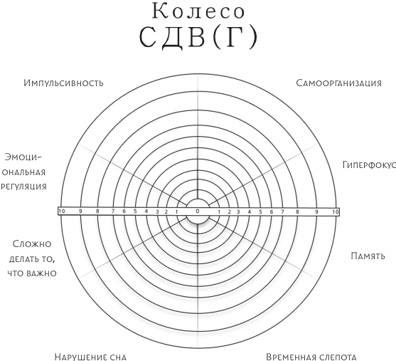 Жизнь с СДВГ. От прокрастинации к самоорганизации - img_5