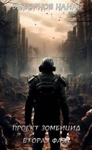 Вторая фаза (СИ) - Выборнов Наиль Эдуардович