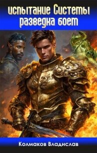 Разведка боем (СИ) - Колмаков Владислав Викторович "Соло1900"