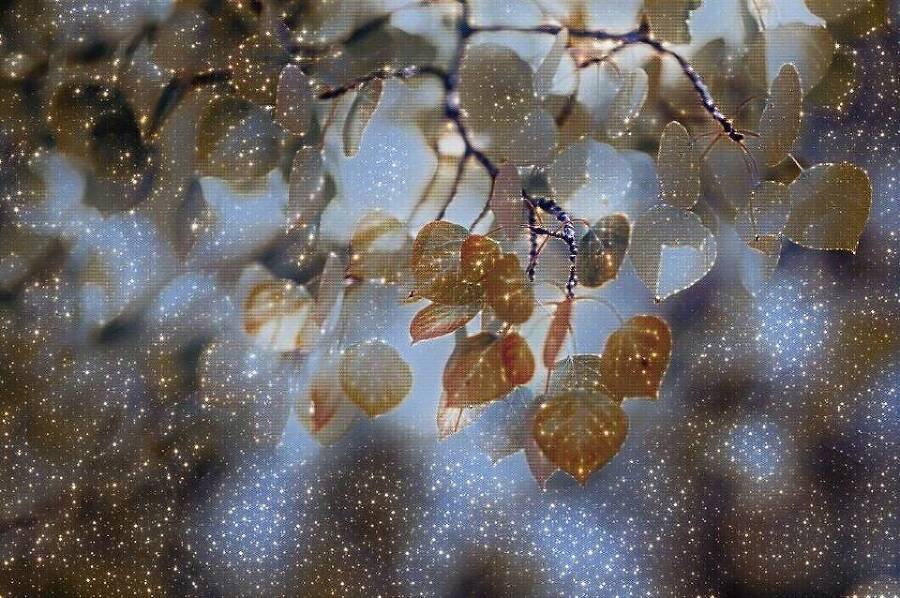 Спецотдел 3 (СИ) - img_1