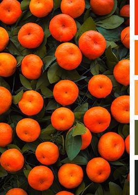 Лимб: Эволюция III (СИ) - img_2