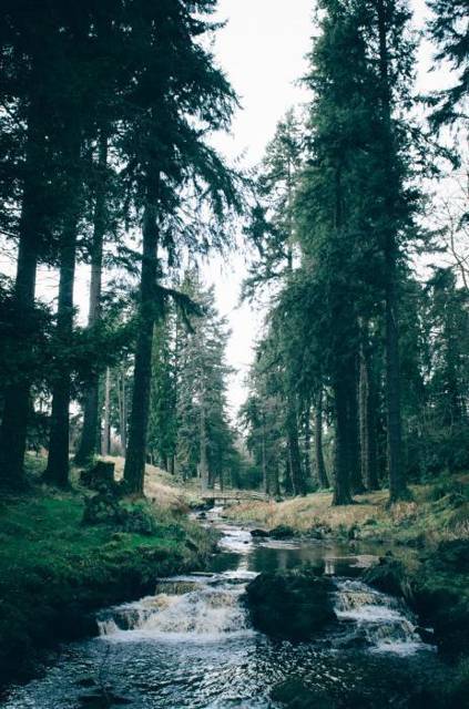 Лимб: Эволюция III (СИ) - img_5