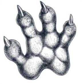 Пробуждение (СИ) - img_15