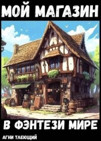 Мой магазин с нуля (СИ) - "Жаркое Пламя"