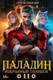 Читать книгу Паладин Том 2 (СИ), автор Шиленко Сергей Паладин Том 2 (СИ) - Шиленко Сергей
