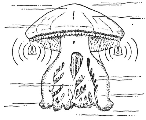 Путешествие в окружающие миры животных и людей. Теория значения - img_17.jpeg